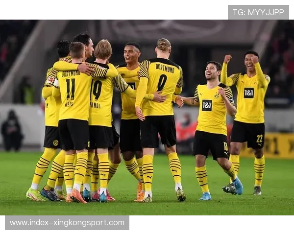 多特蒙德重塑前场体系，霍芬海姆新星加盟迎未来新篇章